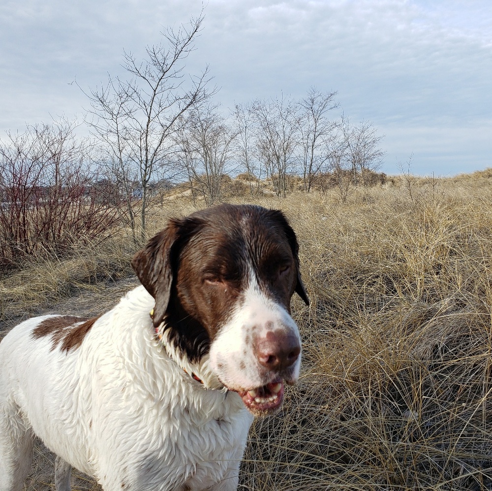 Meet your Posher, Mary jo